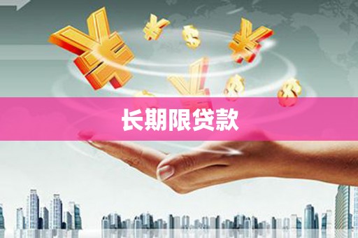 巴州长期限贷款