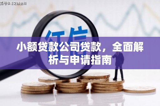 巴州小额贷款公司贷款，全面解析与申请指南