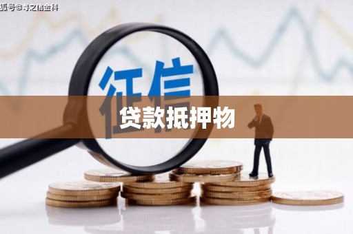 巴州贷款抵押物