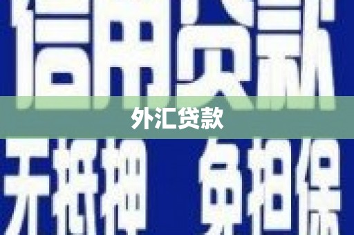 巴州外汇贷款