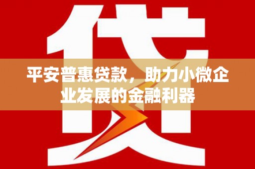 巴州平安普惠贷款，助力小微企业发展的金融利器
