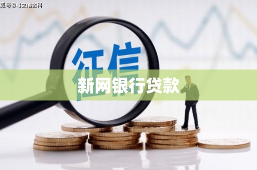 巴州新网银行贷款
