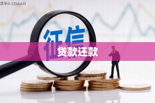 巴州贷款还款