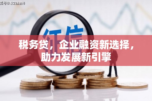 巴州税务贷，企业融资新选择，助力发展新引擎