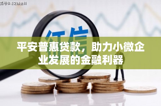 巴州平安普惠贷款，助力小微企业发展的金融利器