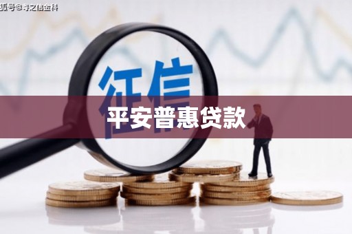 巴州平安普惠贷款
