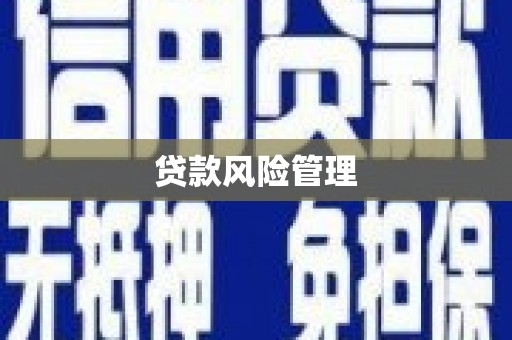 巴州贷款风险管理