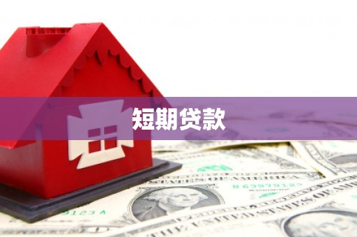 巴州短期贷款