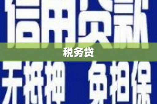 巴州税务贷