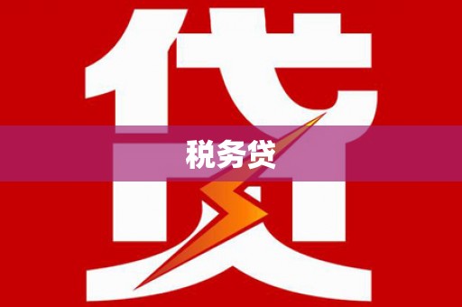 巴州税务贷
