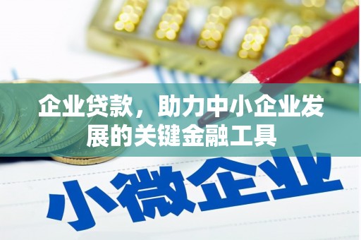 巴州企业贷款，助力中小企业发展的关键金融工具