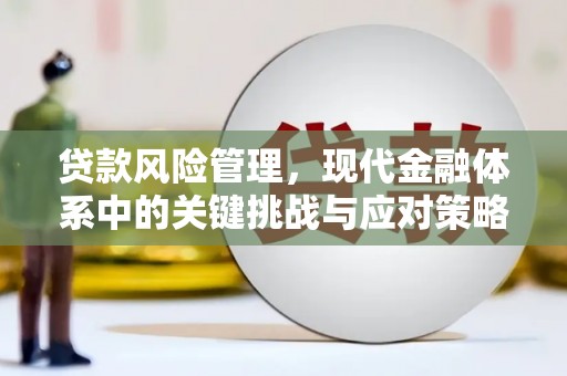 巴州贷款风险管理，现代金融体系中的关键挑战与应对策略