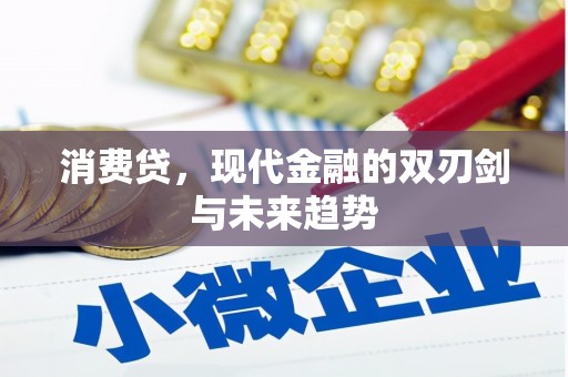 巴州消费贷，现代金融的双刃剑与未来趋势