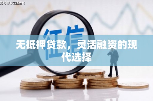 巴州无抵押贷款，灵活融资的现代选择