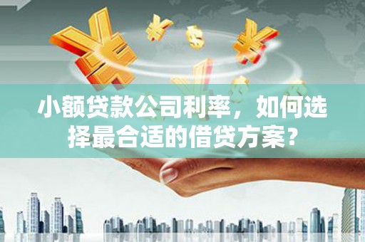巴州小额贷款公司利率，如何选择最合适的借贷方案？