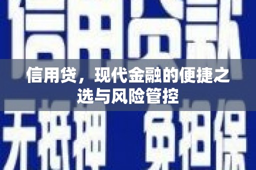 巴州信用贷，现代金融的便捷之选与风险管控