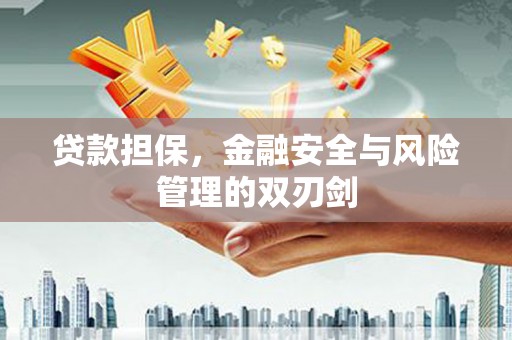 巴州贷款担保，金融安全与风险管理的双刃剑