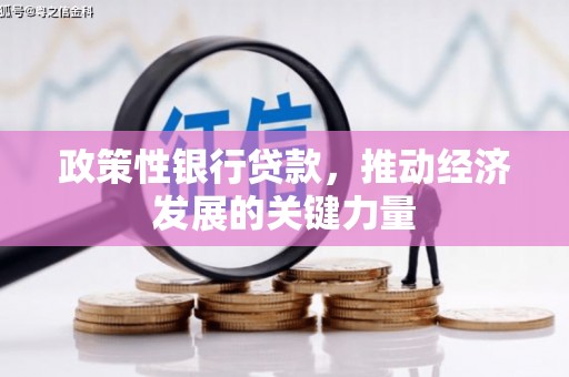 巴州政策性银行贷款，推动经济发展的关键力量