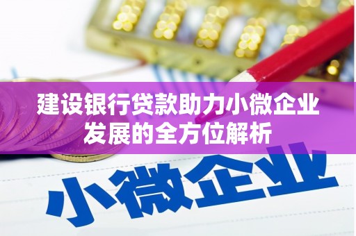 巴州建设银行贷款助力小微企业发展的全方位解析