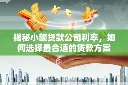 巴州揭秘小额贷款公司利率，如何选择最合适的贷款方案