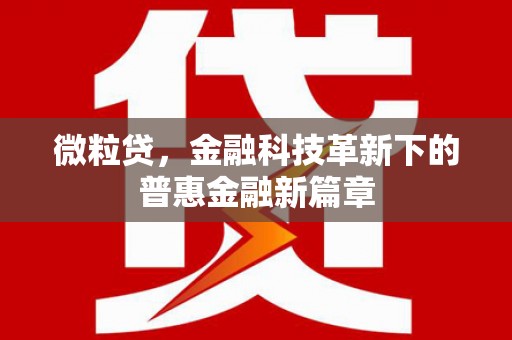 巴州微粒贷，金融科技革新下的普惠金融新篇章