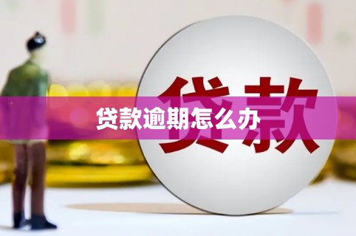 巴州贷款逾期怎么办