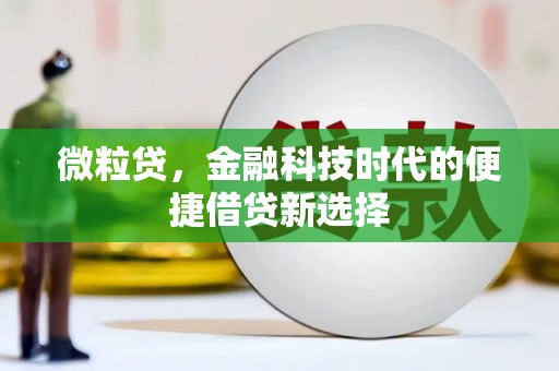 巴州微粒贷，金融科技时代的便捷借贷新选择
