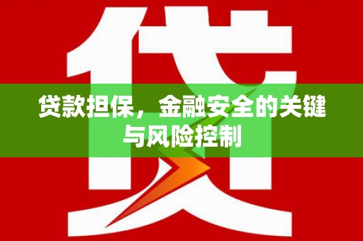 巴州贷款担保，金融安全的关键与风险控制