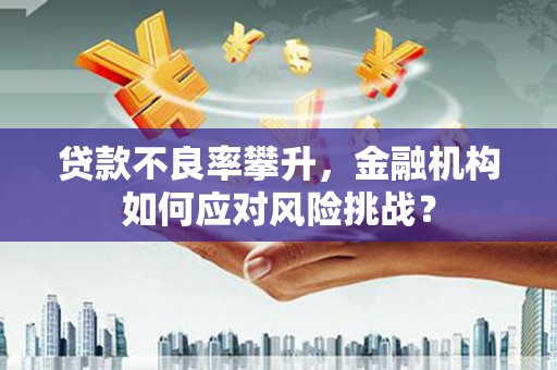 巴州贷款不良率攀升，金融机构如何应对风险挑战？