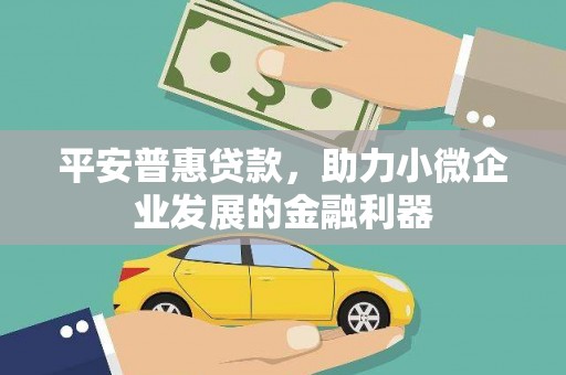 巴州平安普惠贷款，助力小微企业发展的金融利器