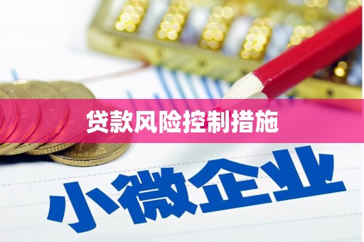 巴州贷款风险控制措施
