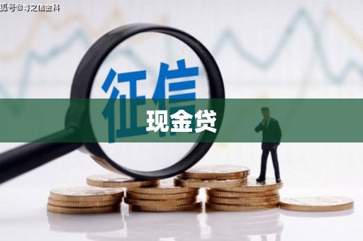 巴州现金贷