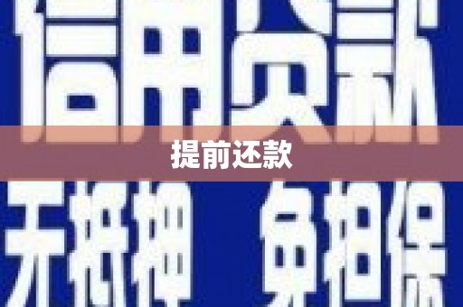 巴州提前还款