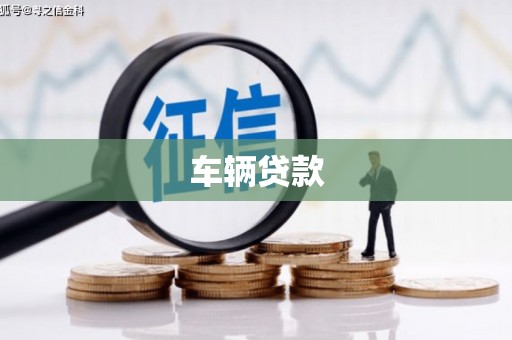 巴州车辆贷款